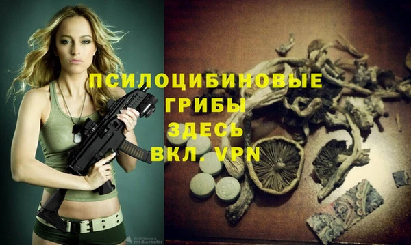 гидропоника Алексеевка