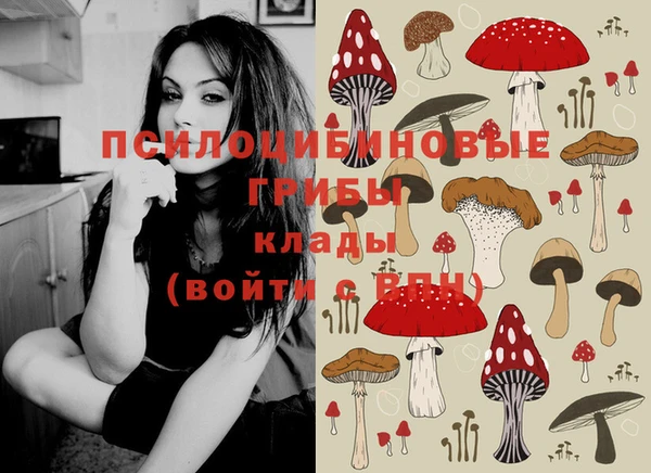 тгк Алзамай