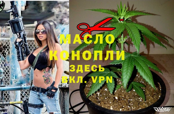 тгк Алзамай
