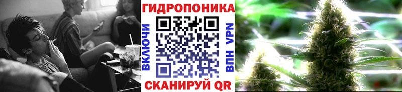 darknet Telegram omg ONION Краснослободск Шишки марихуана конопля